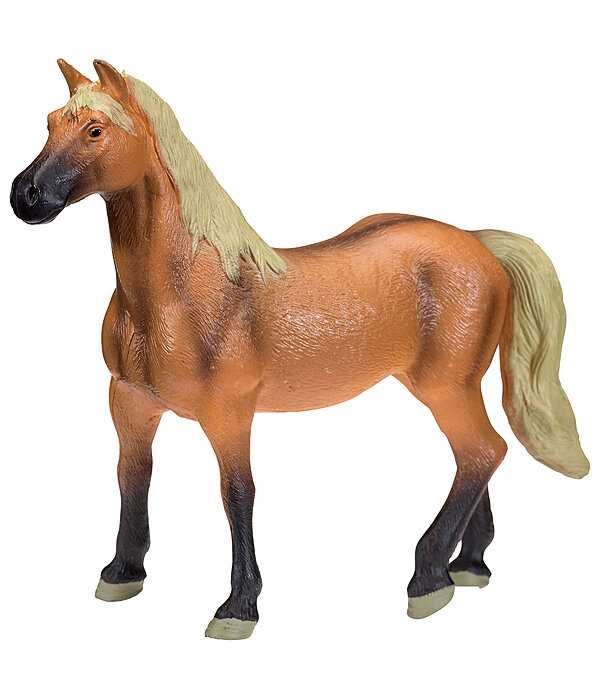 Play Series Belgian Warmblood