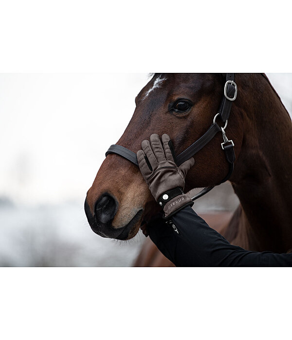 Winter Riding Gloves Luzern