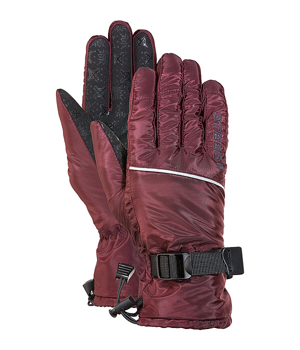 Winter Riding Gloves Alaska II