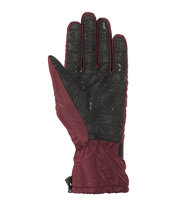 Winter Riding Gloves Alaska II