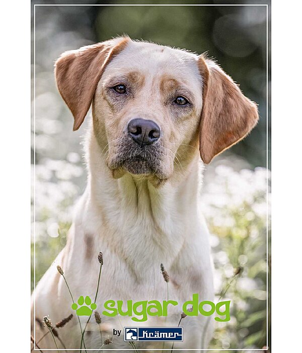 Printable Gift Voucher