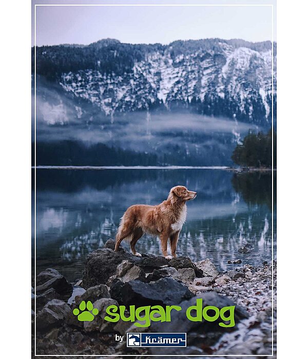 Printable Gift Voucher