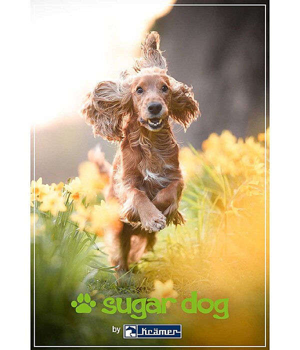 Printable Gift Voucher