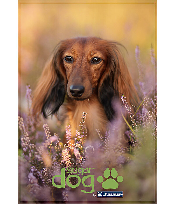 Printable Gift Voucher