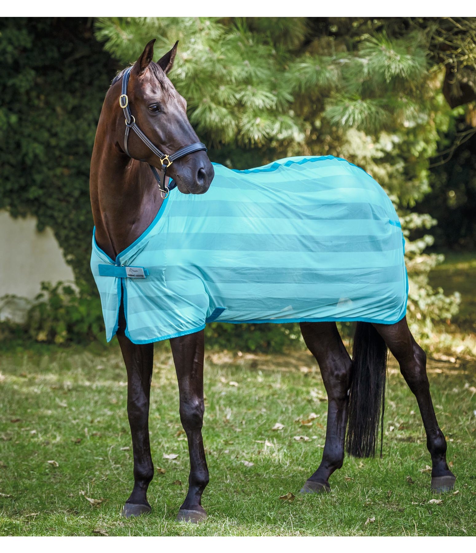 Fly Rug Economy Light Fly Rugs & Accessories Kramer Equestrian
